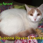 SuzanneStevens avatar