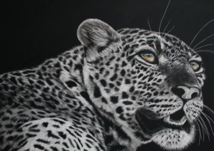 Scratch Art Leopard