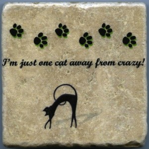 Im Just One Cat Away From Crazy 4 in x 4 in Natural Stone Tumbled Tile Coaster Wall Art Decor by SierraDawnDesigns