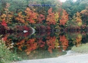 NY329 An Autumn reflection along the Lake Welsh Drive by Serenity70