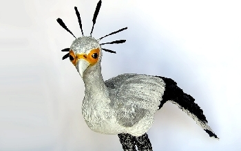 Handmade Bird Sculpture